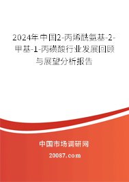 2024年中国2-丙烯酰氨基-2-甲基-1-丙磺酸行业发展回顾与展望分析报告