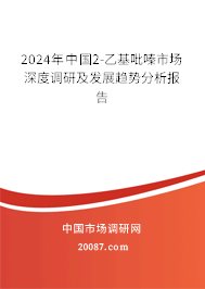 2024年中国2-乙基吡嗪市场深度调研及发展趋势分析报告