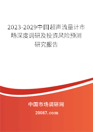 2023-2029中国超声流量计市场深度调研及投资风险预测研究报告