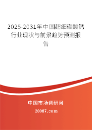 2025-2031年中国超细碳酸钙行业现状与前景趋势预测报告 2025-2031年中国超细碳酸钙行业现状与前景趋势预测报告