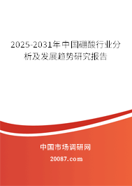 2025-2031年中国硼酸行业分析及发展趋势研究报告 2025-2031年中国硼酸行业分析及发展趋势研究报告