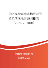 中国汽车微电机市场现状调查及未来走势预测报告（2024-2030年）