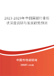 2023-2029年中国翼服行业现状深度调研与发展趋势预测