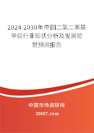 2024-2030年中国二氯二苯基甲烷行业现状分析及发展前景预测报告