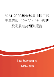 2024-2030年全球与中国二羟甲基丙酸（DMPA）行业现状及发展趋势预测报告