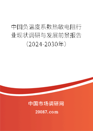 中国负温度系数热敏电阻行业现状调研与发展前景报告（2024-2030年）