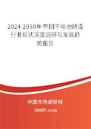 2024-2030年中国干电池制造行业现状深度调研与发展趋势报告