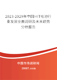 2023-2029年中国HIT电池行业发展全面调研及未来趋势分析报告