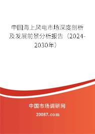 中国海上风电市场深度剖析及发展前景分析报告（2024-2030年）