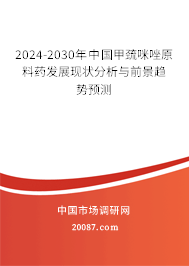 2024-2030年中国甲巯咪唑原料药发展现状分析与前景趋势预测