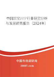 中国凯宝川宁行业研究分析与发展趋势报告（2024年）