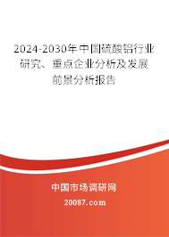 2024-2030年中国硫酸铝行业研究、重点企业分析及发展前景分析报告