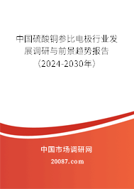 中国硫酸铜参比电极行业发展调研与前景趋势报告（2024-2030年）