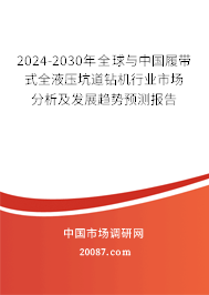 2024-2030年全球与中国履带式全液压坑道钻机行业市场分析及发展趋势预测报告