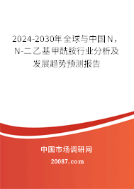 2024-2030年全球与中国N，N-二乙基甲酰胺行业分析及发展趋势预测报告