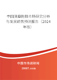 中国蒲草拖鞋市场研究分析与发展趋势预测报告（2024年版）