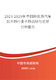 2023-2029年中国新能源汽车后市场行业市场调研与前景分析报告