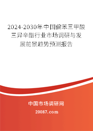 2024-2030年中国偏苯三甲酸三异辛酯行业市场调研与发展前景趋势预测报告