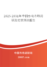 2025-2031年中国水电市场调研及前景预测报告 2025-2031年中国水电市场调研及前景预测报告