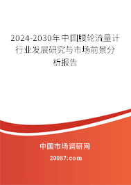 2024-2030年中国腰轮流量计行业发展研究与市场前景分析报告