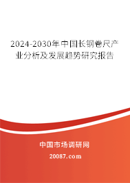 2024-2030年中国长钢卷尺产业分析及发展趋势研究报告