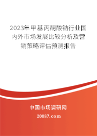 2023年甲基丙酮酸钠行业国内外市场发展比较分析及营销策略评估预测报告