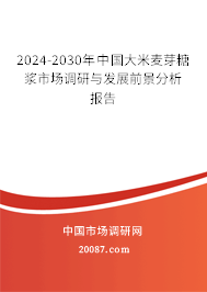 2024-2030年中国大米麦芽糖浆市场调研与发展前景分析报告