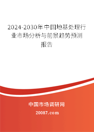 2024-2030年中国地基处理行业市场分析与前景趋势预测报告