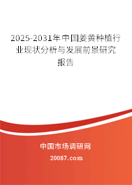 2025-2031年中国姜黄种植行业现状分析与发展前景研究报告 2025-2031年中国姜黄种植行业现状分析与发展前景研究报告