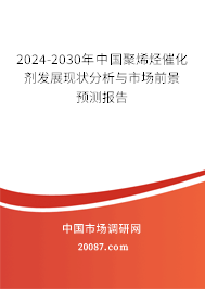 2024-2030年中国聚烯烃催化剂发展现状分析与市场前景预测报告