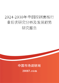 2024-2030年中国控制面板行业现状研究分析及发展趋势研究报告