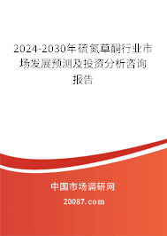 2024-2030年硫氮草酮行业市场发展预测及投资分析咨询报告