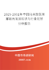 2025-2031年中国马来酸氯苯那敏片发展现状与行业前景分析报告 2025-2031年中国马来酸氯苯那敏片发展现状与行业前景分析报告