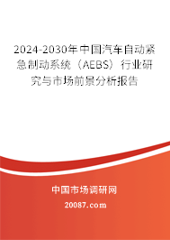 2024-2030年中国汽车自动紧急制动系统（AEBS）行业研究与市场前景分析报告