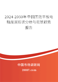 2024-2030年中国三防平板电脑发展现状分析与前景趋势报告