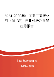 2024-2030年中国双二五硫化剂（DHBP）行业分析及前景趋势报告