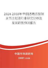 2024-2030年中国透明质酸钠关节注射液行业研究分析及发展趋势预测报告