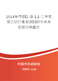 2024年中国2-溴-1,1-二甲氧基乙烷行业发展回顾与未来前景分析报告