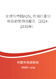 全球与中国ADSL终端行业分析及趋势预测报告（2024-2030年）