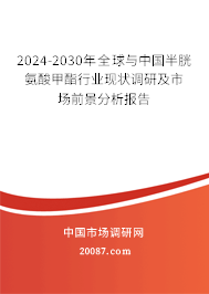 2024-2030年全球与中国半胱氨酸甲酯行业现状调研及市场前景分析报告