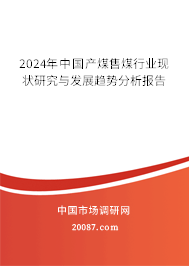 2024年中国产煤售煤行业现状研究与发展趋势分析报告