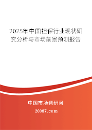 2025年中国担保行业现状研究分析与市场前景预测报告 2025年中国担保行业现状研究分析与市场前景预测报告