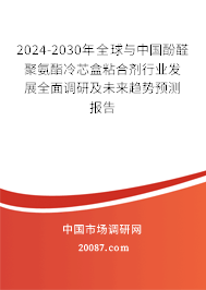 2024-2030年全球与中国酚醛聚氨酯冷芯盒粘合剂行业发展全面调研及未来趋势预测报告