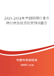 2025-2031年中国钢铁行业市场分析及投资前景预测报告 2025-2031年中国钢铁行业市场分析及投资前景预测报告