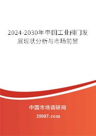 2024-2030年中国工业阀门发展现状分析与市场前景