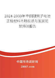 2024-2030年中国锂离子电池正极材料市场现状与发展前景预测报告