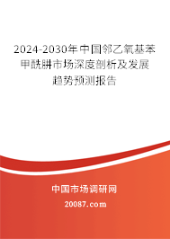 2024-2030年中国邻乙氧基苯甲酰肼市场深度剖析及发展趋势预测报告