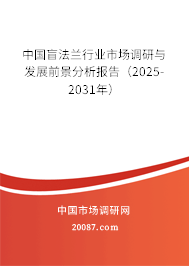 中国盲法兰行业市场调研与发展前景分析报告(2025-2031年) 中国盲法兰行业市场调研与发展前景分析报告(2025-2031年)