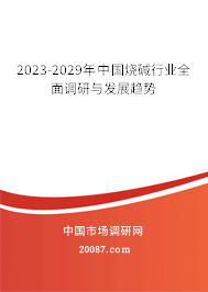 2023-2029年中国烧碱行业全面调研与发展趋势