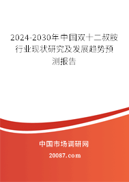 2024-2030年中国双十二叔胺行业现状研究及发展趋势预测报告